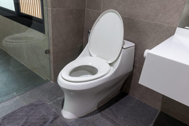 Unclog Your Toilet: Four Tricks to Try Before Calling Your Plumber